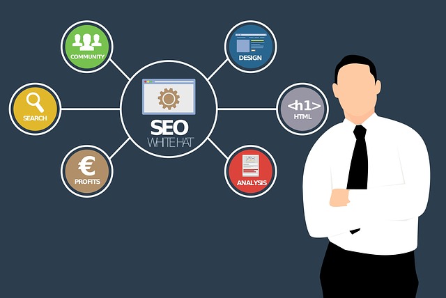 Meer succes met je website: de kracht van een SEO bureau in Rotterdam